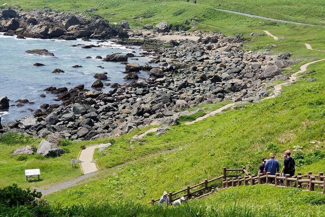 sanriku-reconstruction-national-park-trekking-and-fishermans-lunch-tour