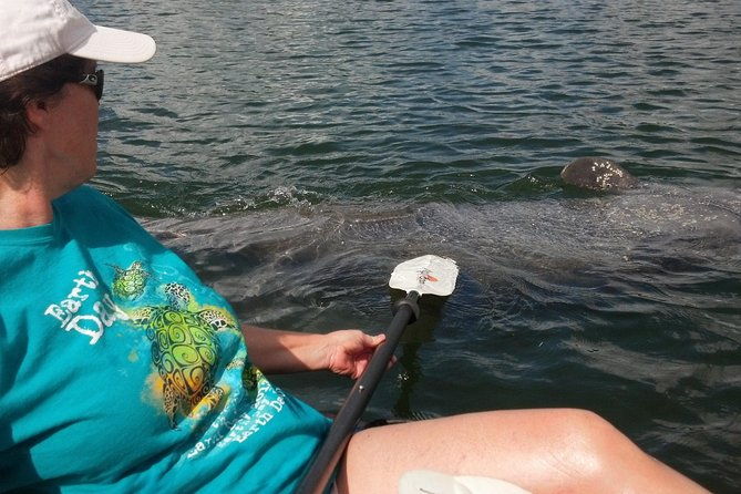 sarasota-guided-mangrove-tunnel-kayak-tour