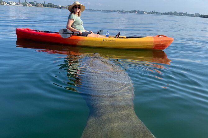 sarasota-mangrove-tunnel-guided-kayak-adventure