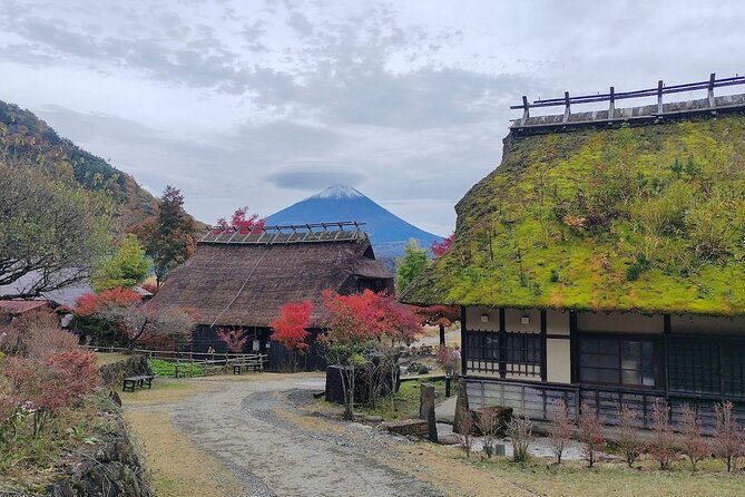 scenic-spots-of-mount-fuji-full-day-sightseeing-tour-from-tokyo