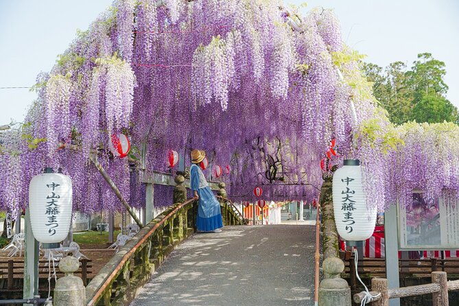 scenic-tour-of-kuroki-and-nakayama-wisteria-in-fukuoka-yokabus