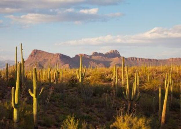 scottsdale-desert-classic-guided-hiking-adventure