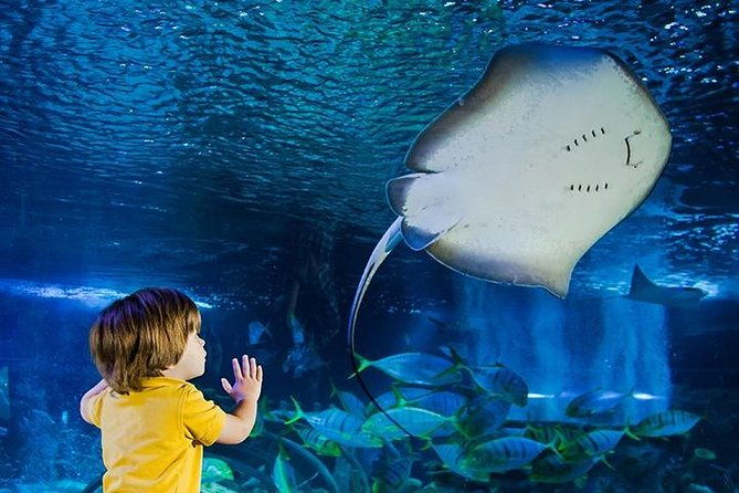 sea-life-manchester-admission-ticket