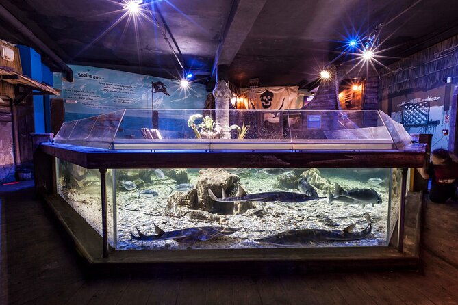 sealife-benalmadena-entrance-ticket