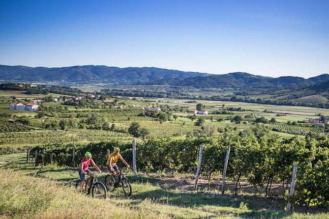 secret-vineyards-e-bike-tour