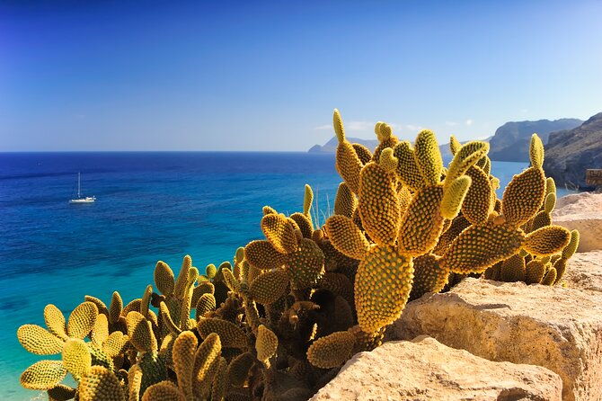 secrets-of-ibiza-car-tour-in-8-hours