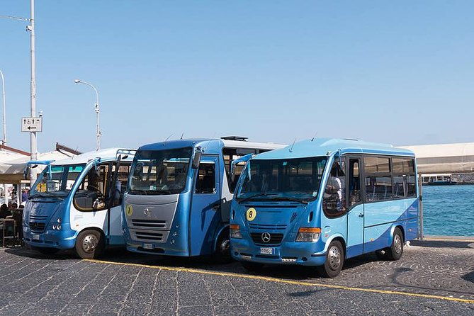semi-guided-capri-tour-from-capri-pier-at-1015