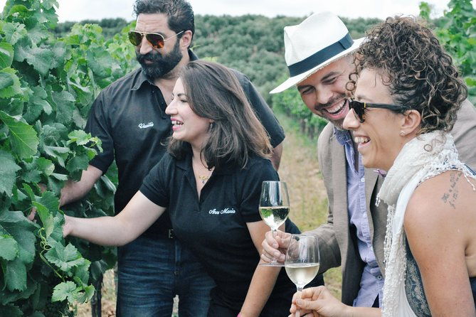 semi-private-wine-discovery-tour-in-chania