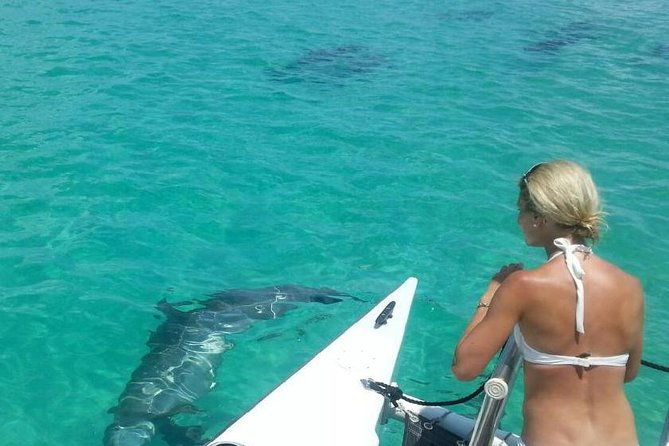 shallow-water-snorkeling-and-dolphin-watching-in-key-west