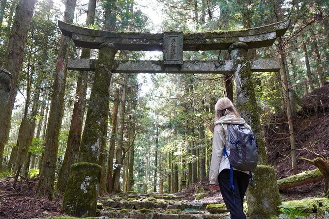 shinrinyoku-explore-the-historic-sites-of-shugendo-culture