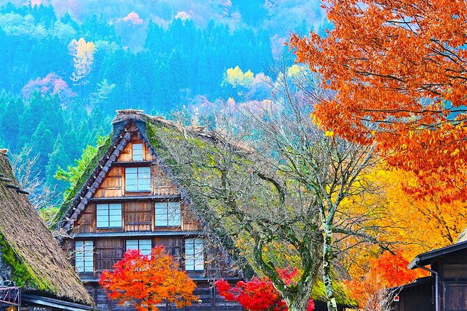 shirakawa-go-and-hida-takayama-private-day-trip-from-nagoya
