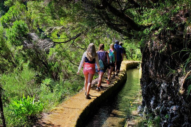 shore-excursion-porto-moniz-enchanted-terraces-4x4-tour