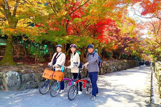 slow-cycling-tour-at-ujis-matcha-green-tea-fields-and-heritage