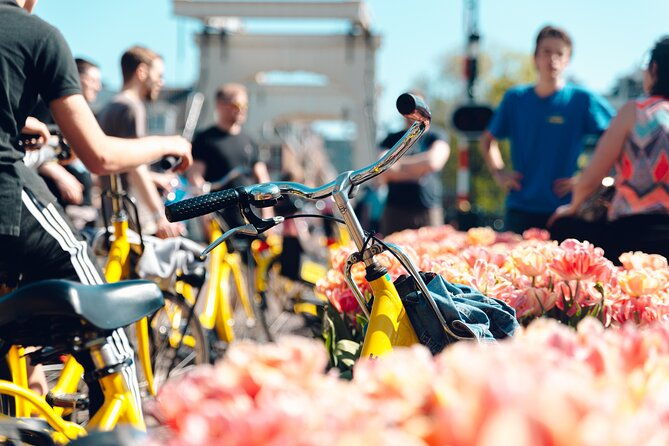 small-city-bike-tour