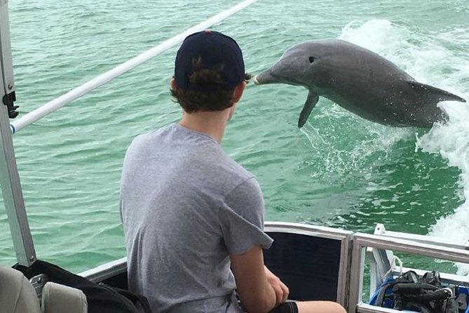 small-group-2-hour-dolphin-cruise-with-snorkeling-to-shell-key