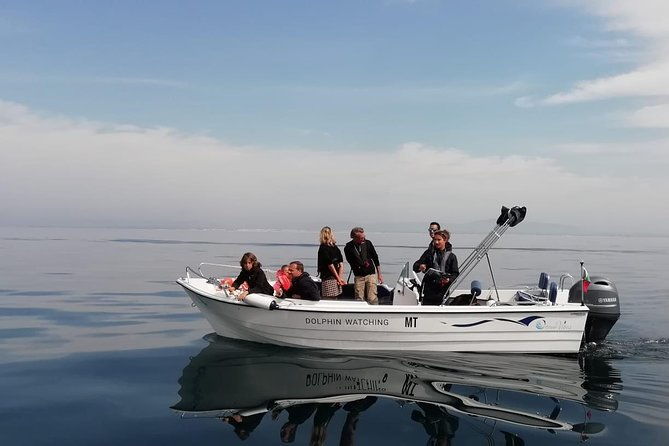 small-group-dolphin-and-wildlife-watching-tour-in-faro