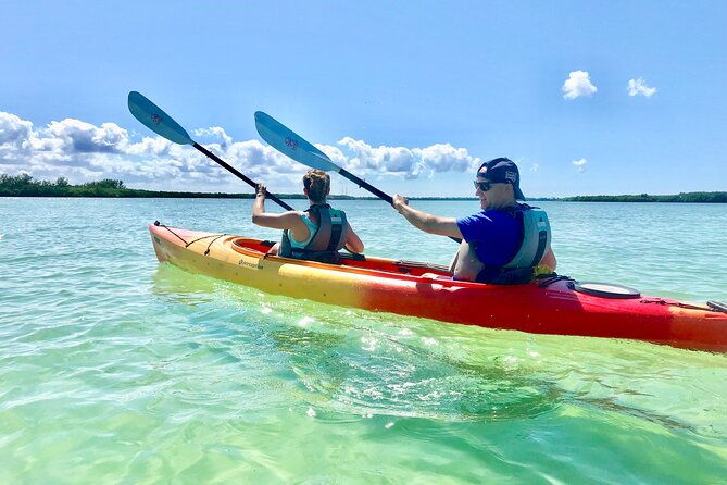 small-group-kayak-tour-of-the-shell-key-preserve