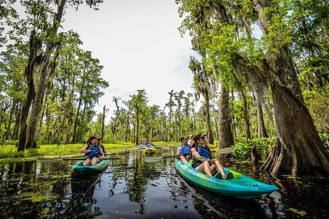 small-group-manchac-swamp-kayak-tour-with-local-guide