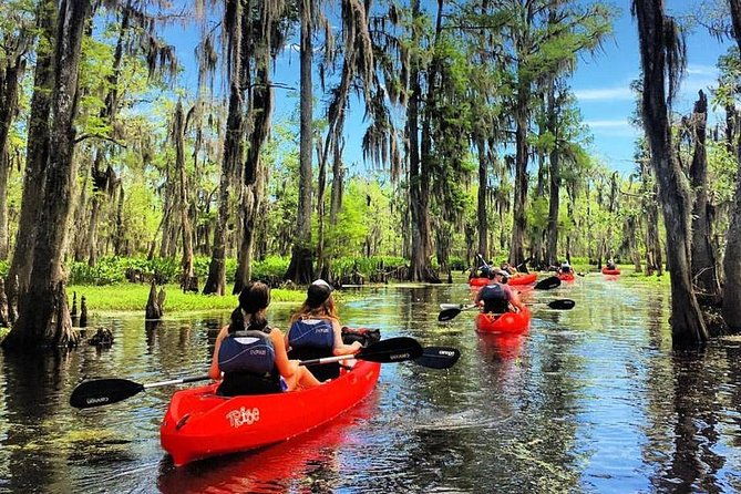 small-group-manchac-swamp-kayak-tour
