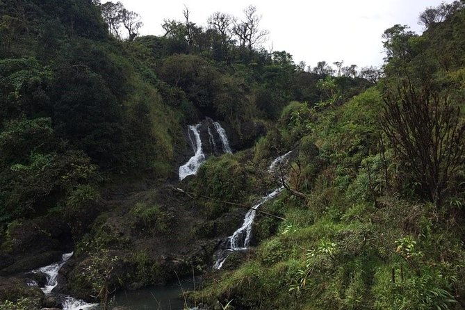 small-group-road-to-hana-adventure-tour-with-pickup-lunch