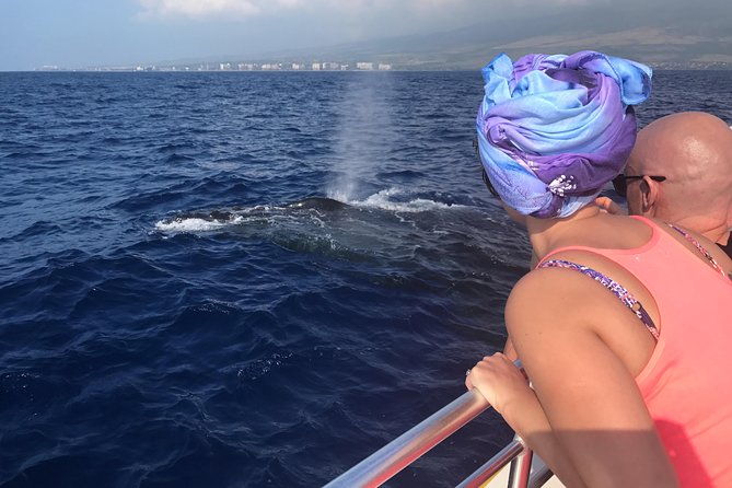 small-group-whale-watching-adventure