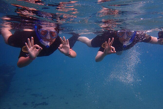 snorkel-experience-in-lanzarote