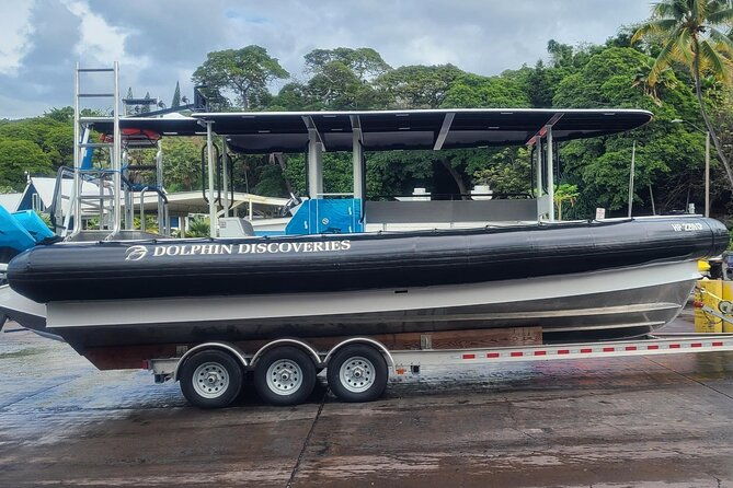 snorkel-tour-to-captain-cook-monument-kailua-kona-big-island