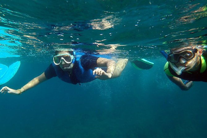 snorkeling-excursion-in-tabarca-island