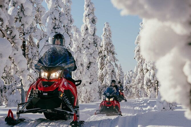 snowmobile-safari-into-the-arctic-circle-forest