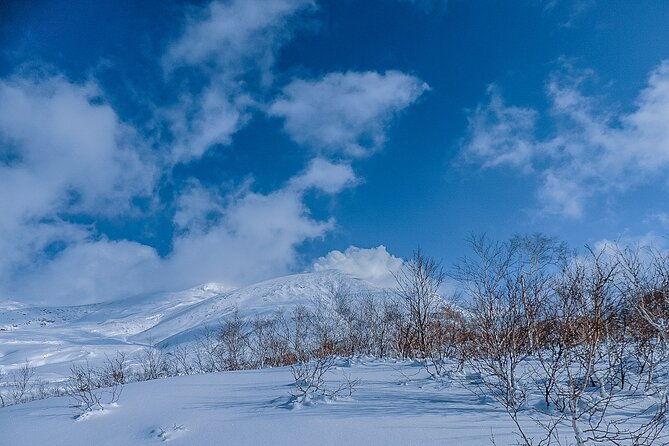 snowshoe-adventures-and-onsen-bliss-winter-escape-in-furano