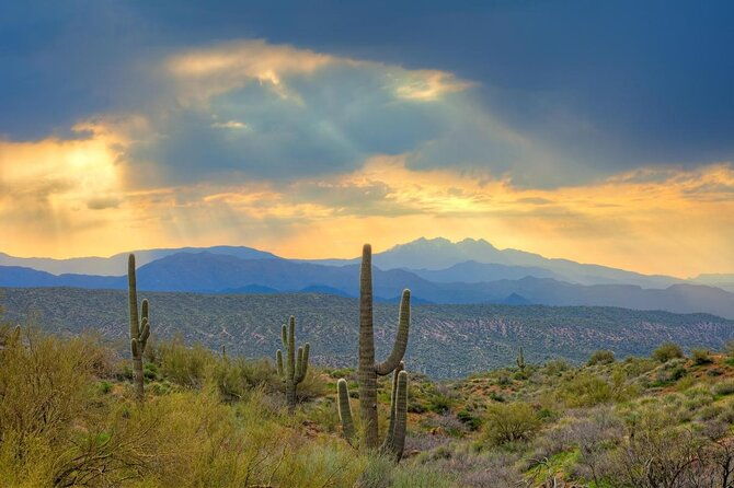 sonoran-desert-utv-sand-buggy-off-road-adventure-scottsdale