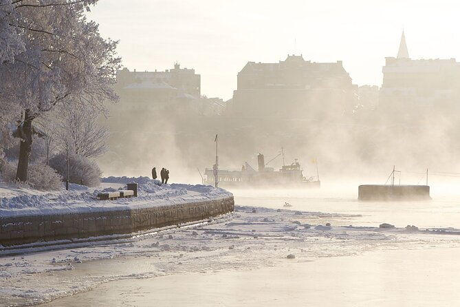 stockholm-winter-boat-tour-with-guide