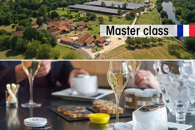 sturgeon-fish-farm-visit-and-caviar-master-class-tasting-in-neuvic