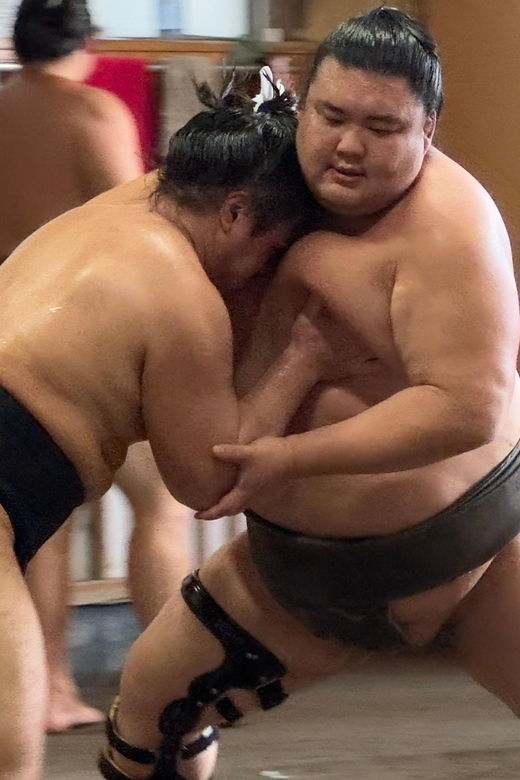 sumo-practice-watch-with-specialist-in-tokyo