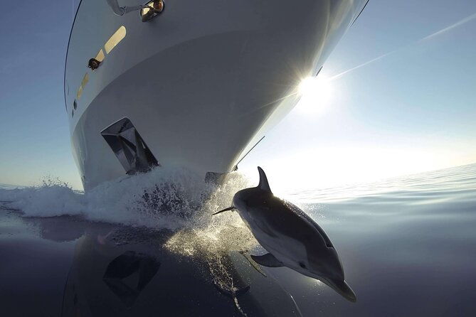sunset-dolphin-watching-boat-tour-from-vrsar