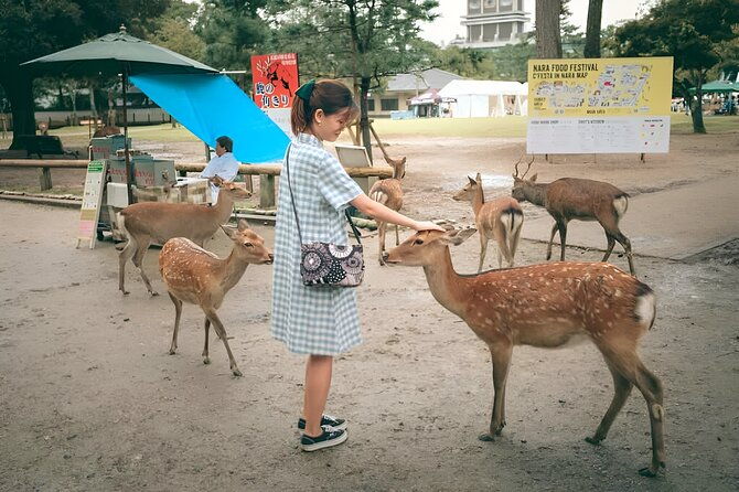 taste-of-nara-a-guided-half-day-food-tour-tailored-to-your-taste
