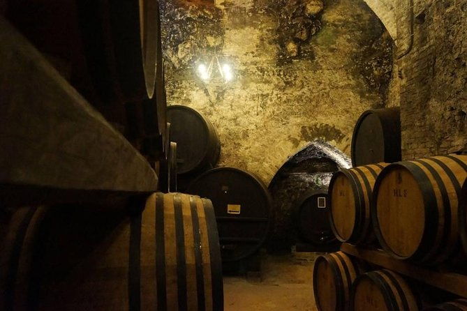 tasting-tour-in-one-of-the-most-beautiful-cellars-in-the-world