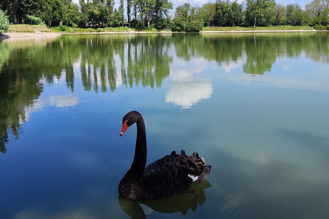 the-milan-you-dont-expect-bike-tour-with-picnic-on-the-lake