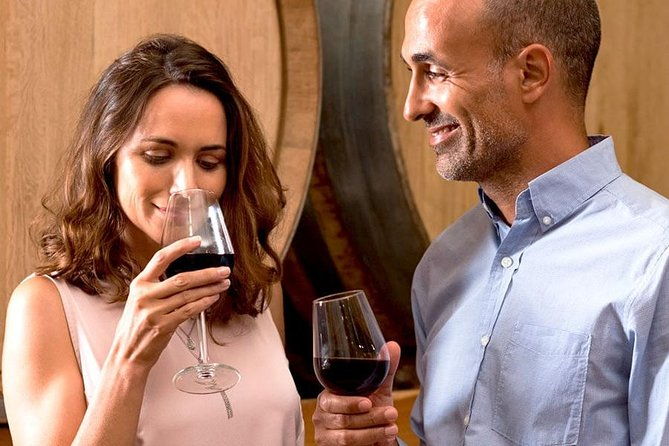 the-original-syrah-wine-tour-200-pm-630-pm-small-group-tour-from-lyon