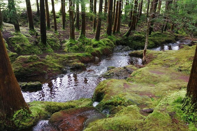 third-island-transfers-azores