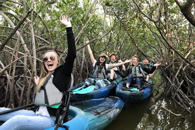thousand-island-mangrove-tunnel-manatee-dolphin-kayak-tour-w-cocoa-kayaking