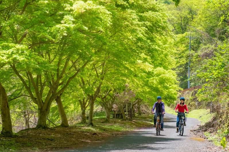 tokyo-escape-the-city-to-a-cultural-cycle-in-the-mountains
