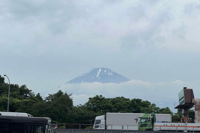 tokyo-mount-fuji-and-hakone-private-tour
