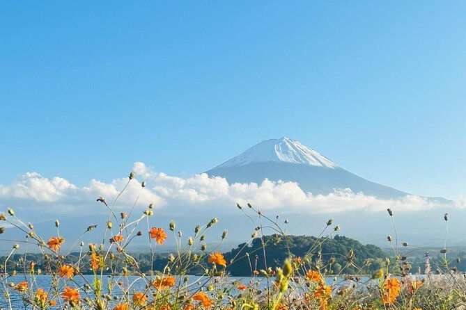 tokyo-mount-fuji-one-day-private-tour-by-car-with-english-guide