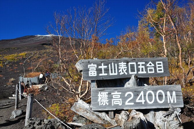 tokyo-mt-fuji-oshino-hakkai-and-gotemba-outlets-1day-bus-tour