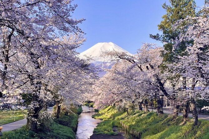 tokyo-oishipark-oshino-koedokawagoe-fuji-mount