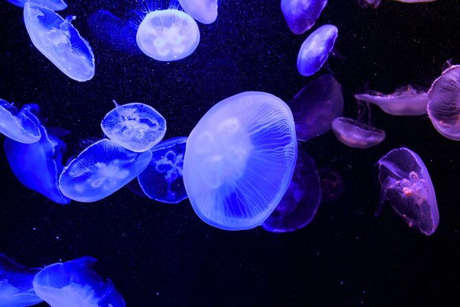 tokyo-sumida-aquarium-e-ticket-with-optional-tokyo-metro-pass