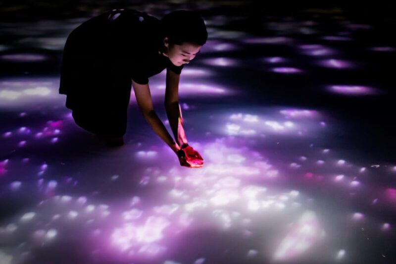 tokyo-teamlab-planets-tokyo-digital-art-museum-entry-ticket