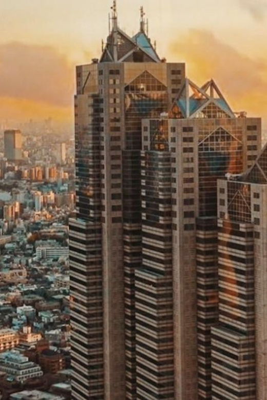 tokyo-walking-tour-with-licensed-guide-shinjuku
