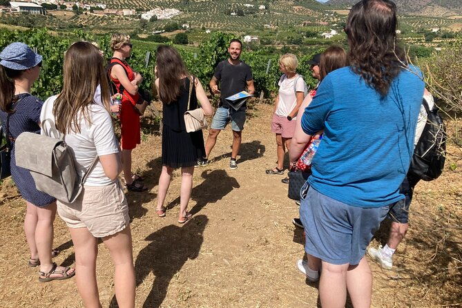 top-wine-tour-vineyard-cellar-visit-6-top-wines-tapas
